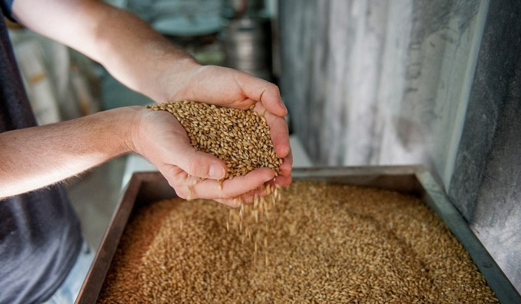 Cerveza premium doble malta crece en el mercado mundial