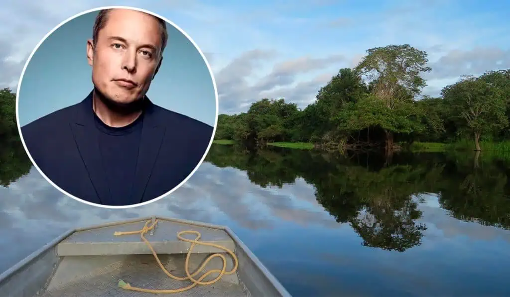 Elon Musk lanza programa para conectar y monitorear la Amazonía en Brasil Elon Musk lanza programa para conectar y monitorear la Amazonía en Brasil