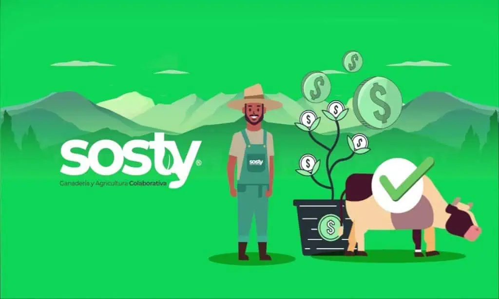 Sosty, startup de inversión para ganadería sostenible en Colombia Sosty, startup de inversión para ganadería sostenible en Colombia