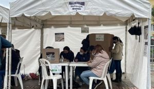 Home - Valora Analitik elecciones en Colombia