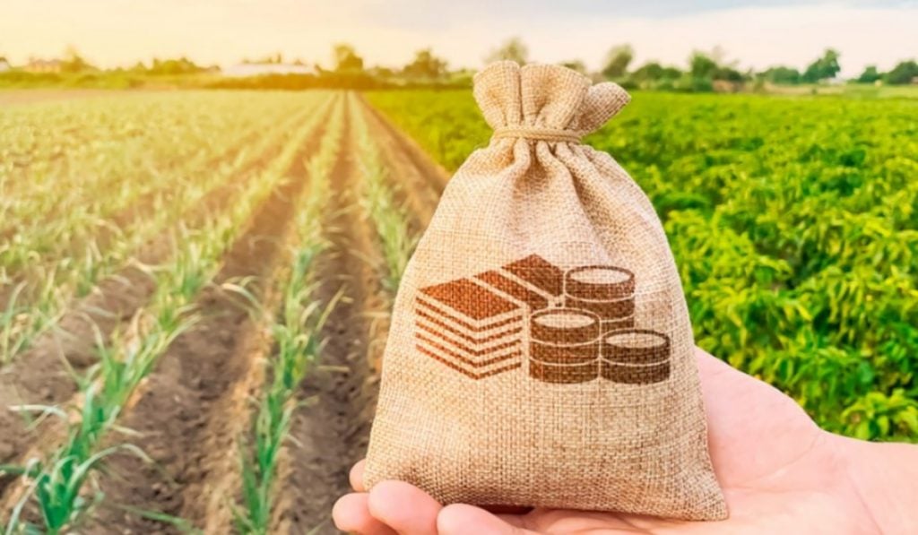OEA elige startup colombiana como embajadora de agricultura digital en América Latina