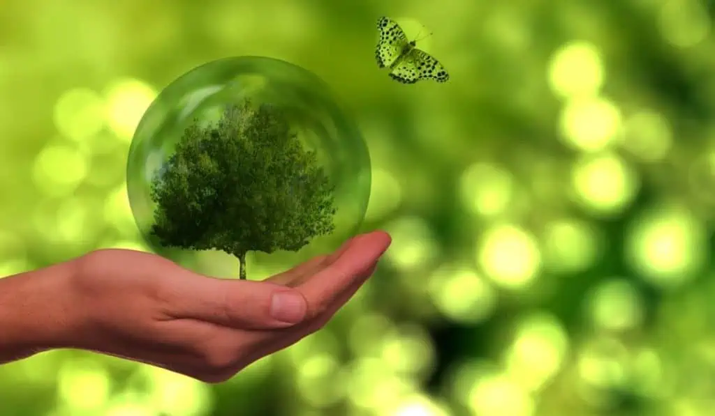 El impacto del cambio climático en el riesgo financiero Colombia, la que más cuenta innovaciones sobre cambio climático en América Latina