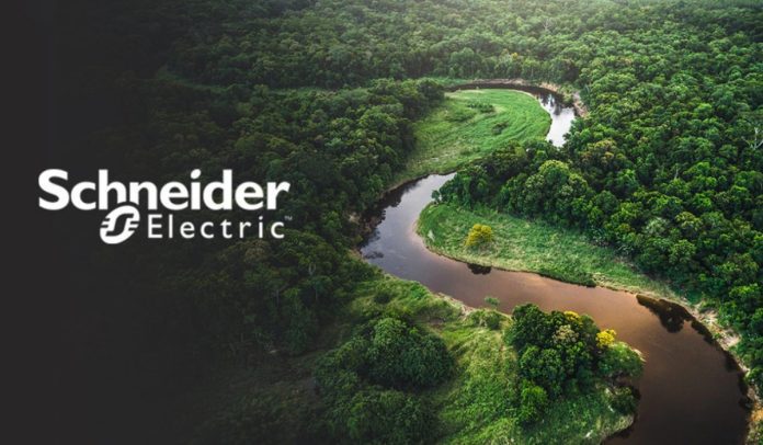 Carolina Calderón, nueva líder de Energías y Químicos para Sudamérica de Schneider Electric