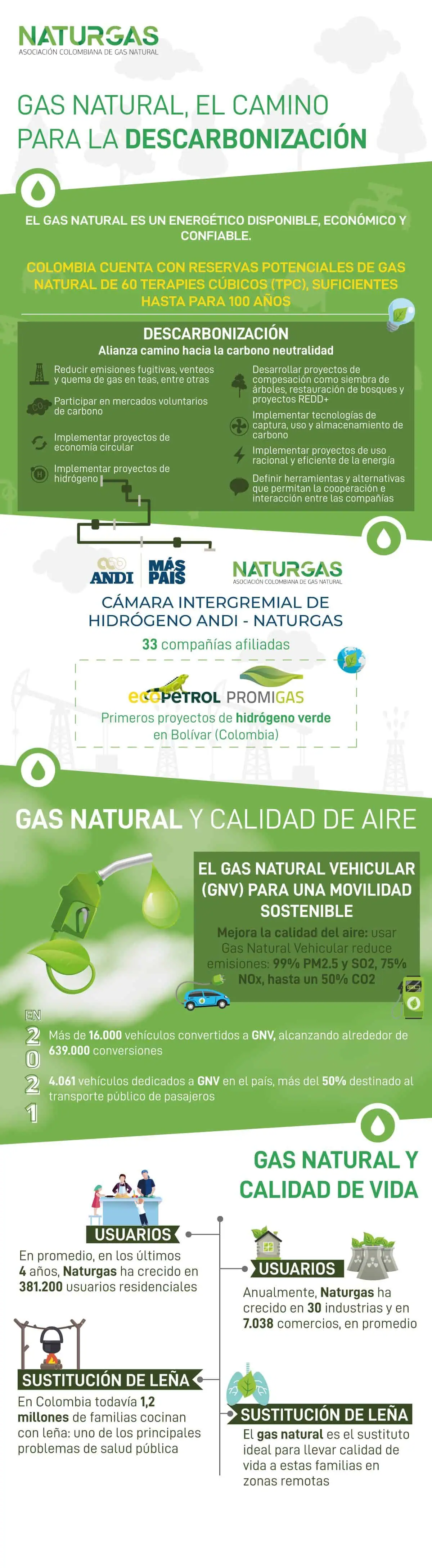 EspecialCarbonoNeutro | Gas natural, el camino para la descarbonización Naturgas