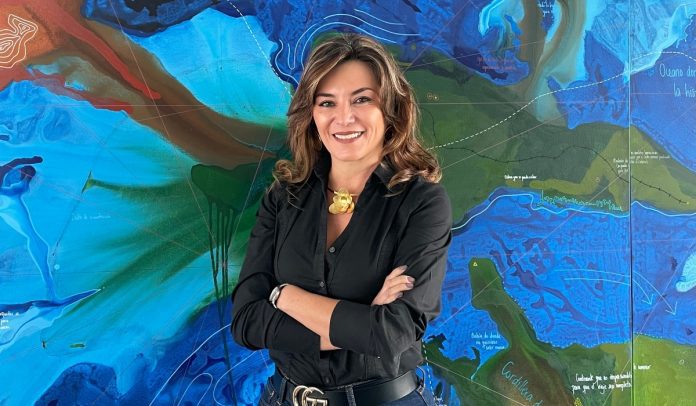 Sofía Higuera, gerente general de Tu Boleta