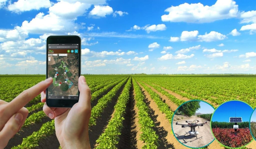 Startup chilena Instacrops llega a Colombia para monitoreo del campo