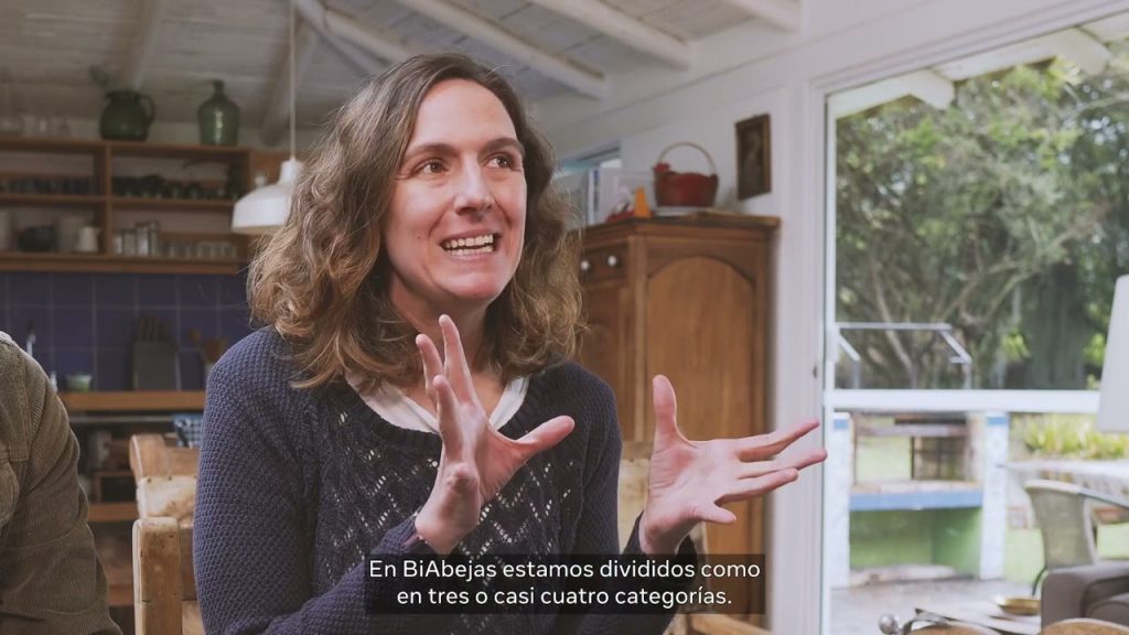 Bi Abejas busca ser la primera empresa colombiana exportadora de miel