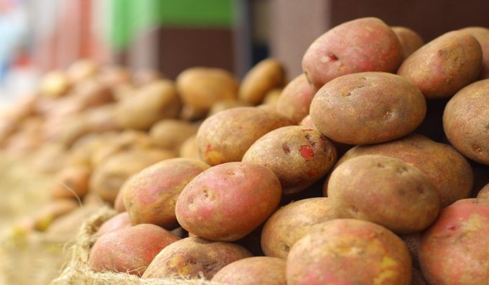 Las papas entre los alimentos más caros de octubre.