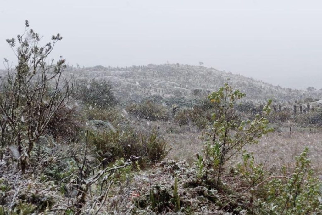 Nevó en Colombia: luego de 60 años volvió a suceder en el Páramo de Sumapaz