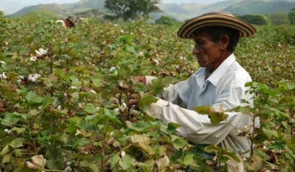 En junio, el Índice de Precios al Productor en Colombia rompió tendencia alcista En junio, el Índice de Precios al Productor en Colombia rompió tendencia alcista