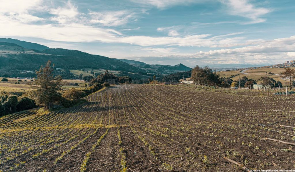 Gobierno Petro rechaza invasión de predios; viene reforma agraria en Colombia