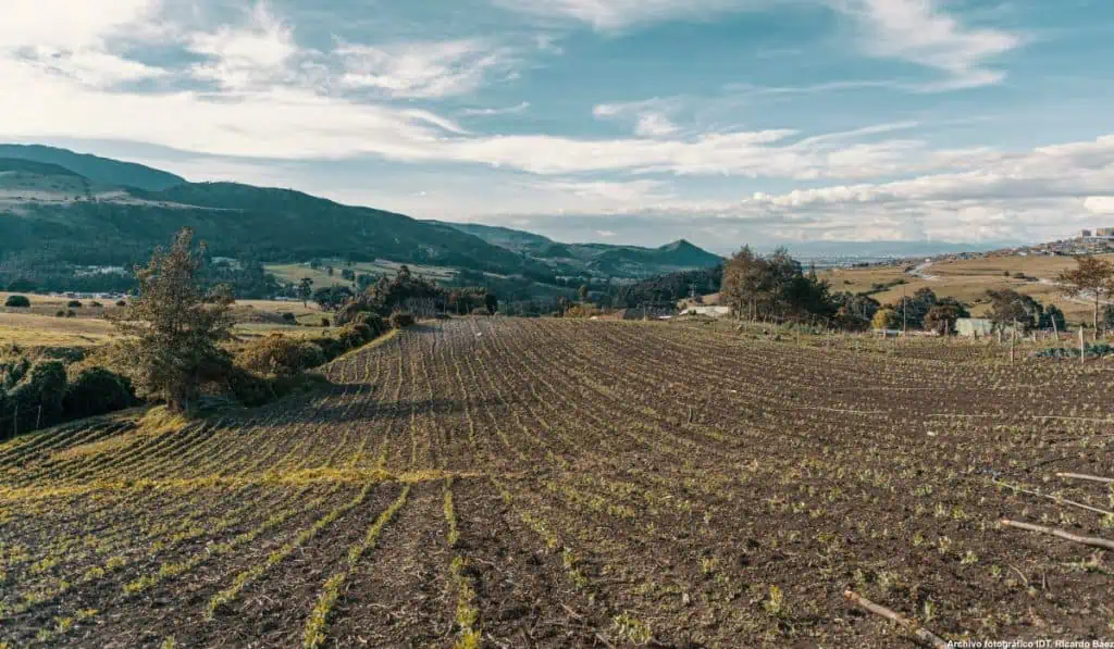 Gobierno Petro rechaza invasión de predios; viene reforma agraria en Colombia Gobierno Petro rechaza invasión de predios; viene reforma agraria en Colombia