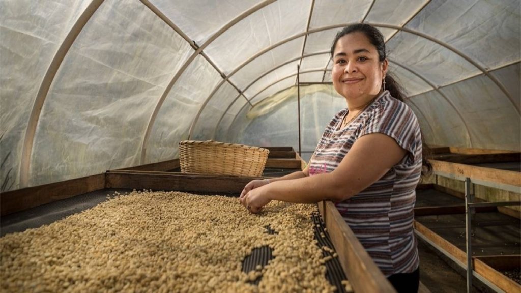 Más de 200 caficultores de Nariño participaron en programa de inclusión financiera