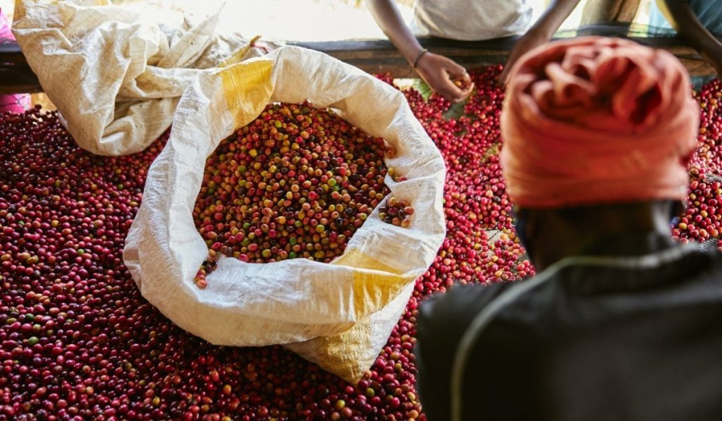 Carga interna de café en Colombia marcó máximo histórico