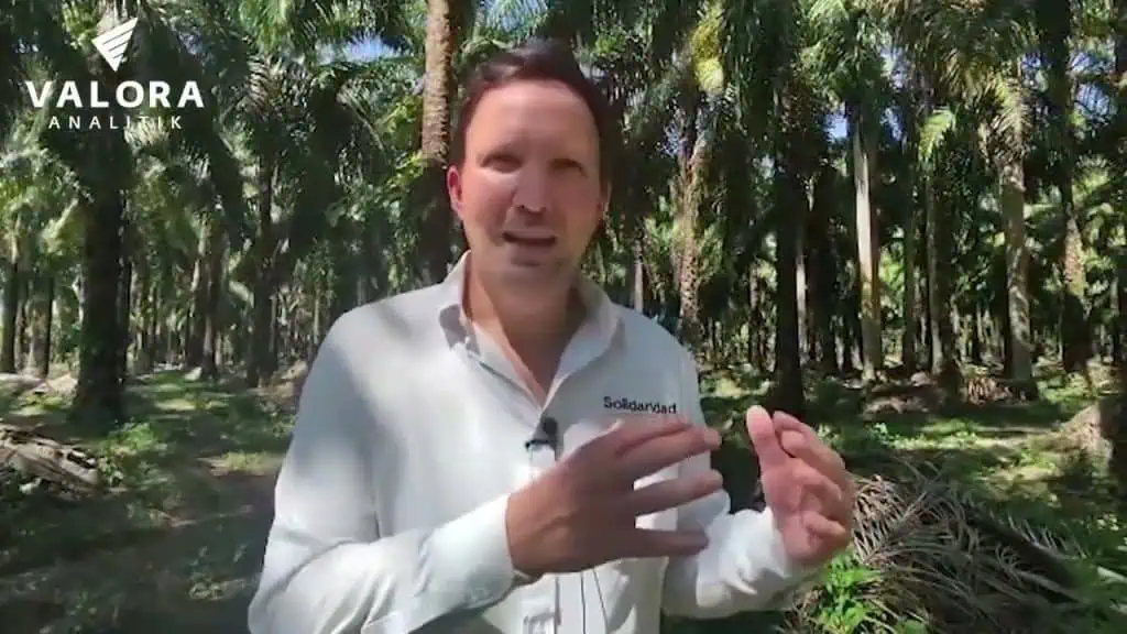 Así se transforman vidas y regiones con producción sostenible de palma de aceite en Colombia Así se transforman vidas y regiones con producción sostenible de palma de aceite en Colombia