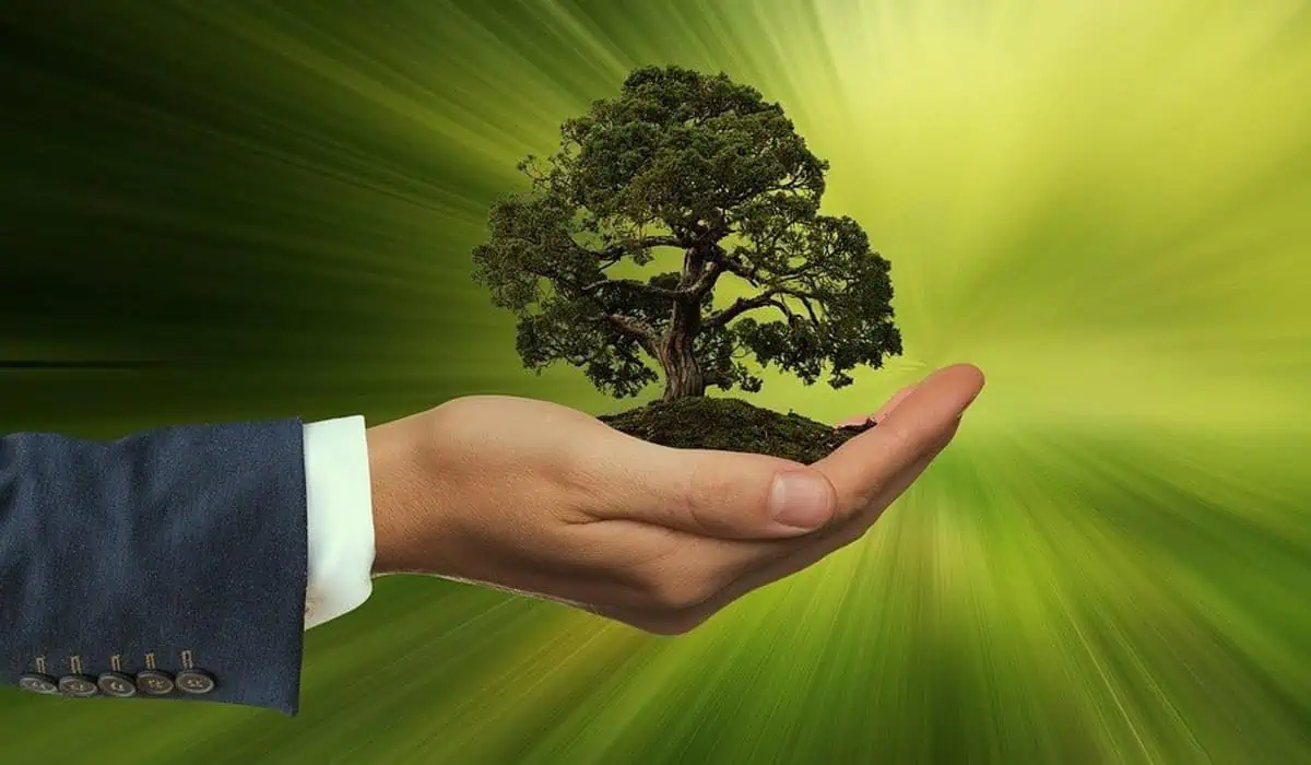 #ValoraSostenible | Compañías que trabajan en pro de la población y medio ambiente Medio ambiente, siembra de árboles