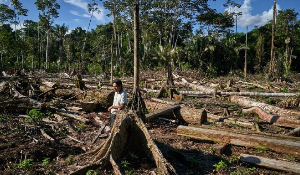 Iniciativa busca crear conciencia en jóvenes por la Amazonía