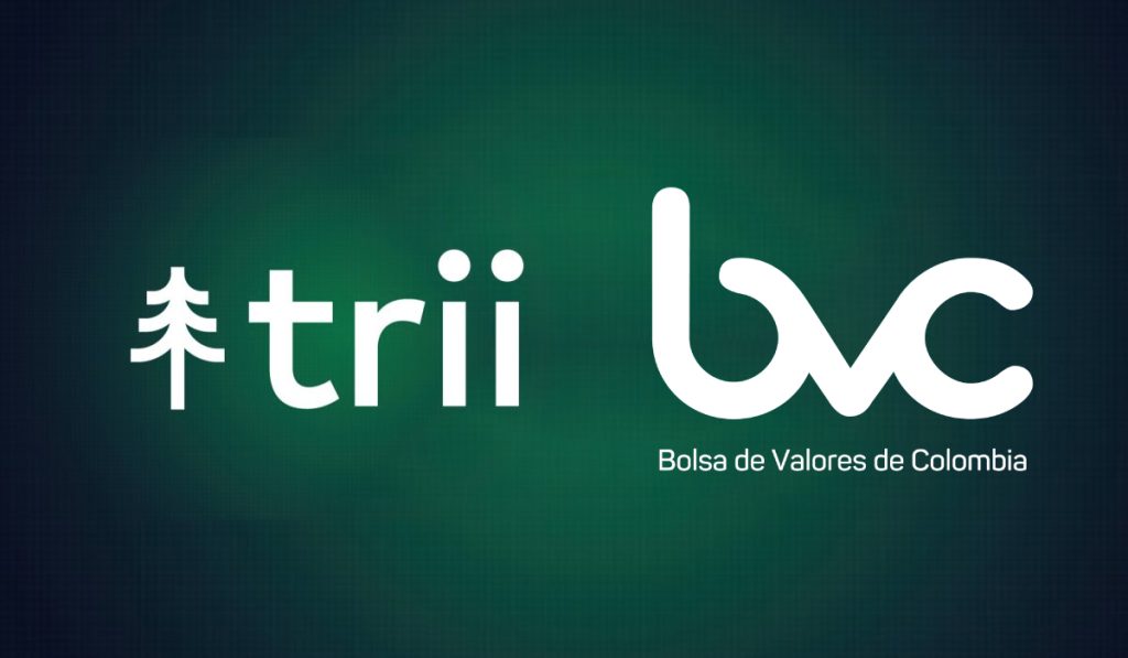 Vuelve la Bolsa Millonaria: inversionistas minoritarios se toman la Bolsa de Valores de Colombia
