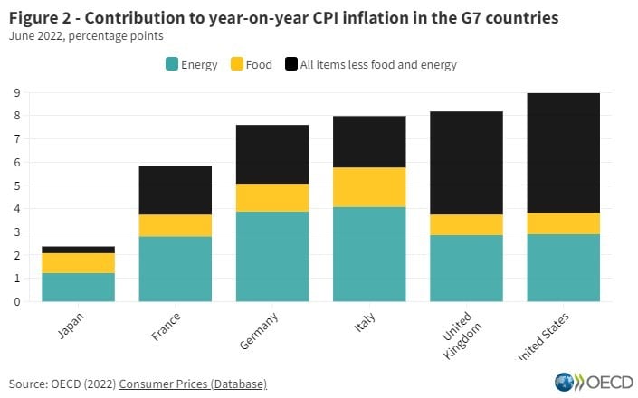 Inflación de países OCDE en junio fue de 10,3 %, la más alta en 34 años