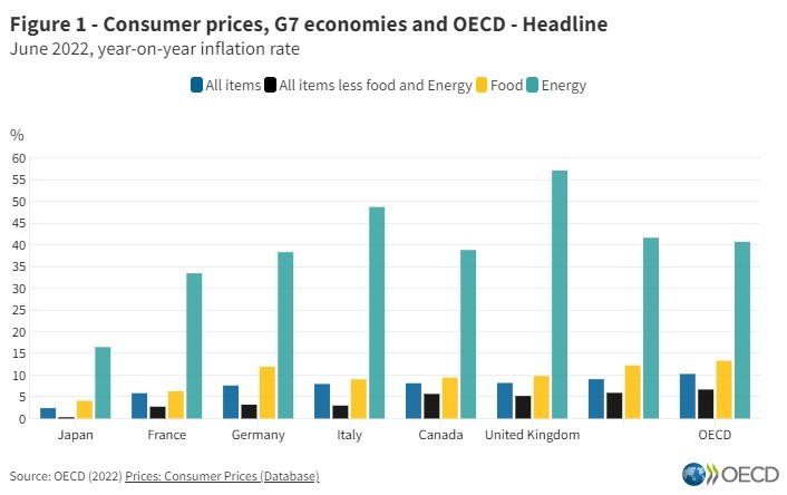 Inflación de países OCDE en junio fue de 10,3 %, la más alta en 34 años