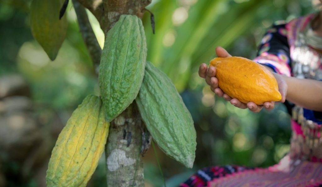 Así se enfocarían en 2023 los créditos para el agro en Colombia