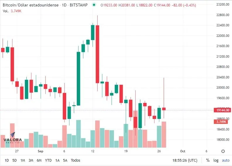 Conozca las principales diferencias entre criptomonedas y stablecoins Conozca las principales diferencias entre criptomonedas y stablecoins