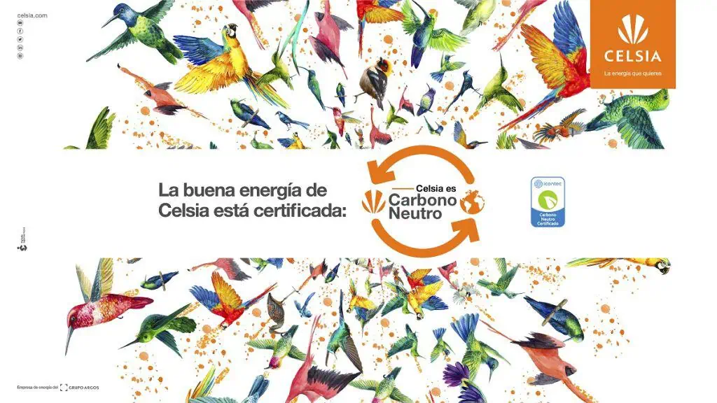 Celsia logró ser carbono neutro: una de las primeras compañías en Colombia en hacerlo Celsia