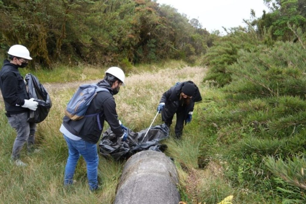Grupo Aval lanzó iniciativa medioambiental en el marco del Festival Cordillera en Bogotá
