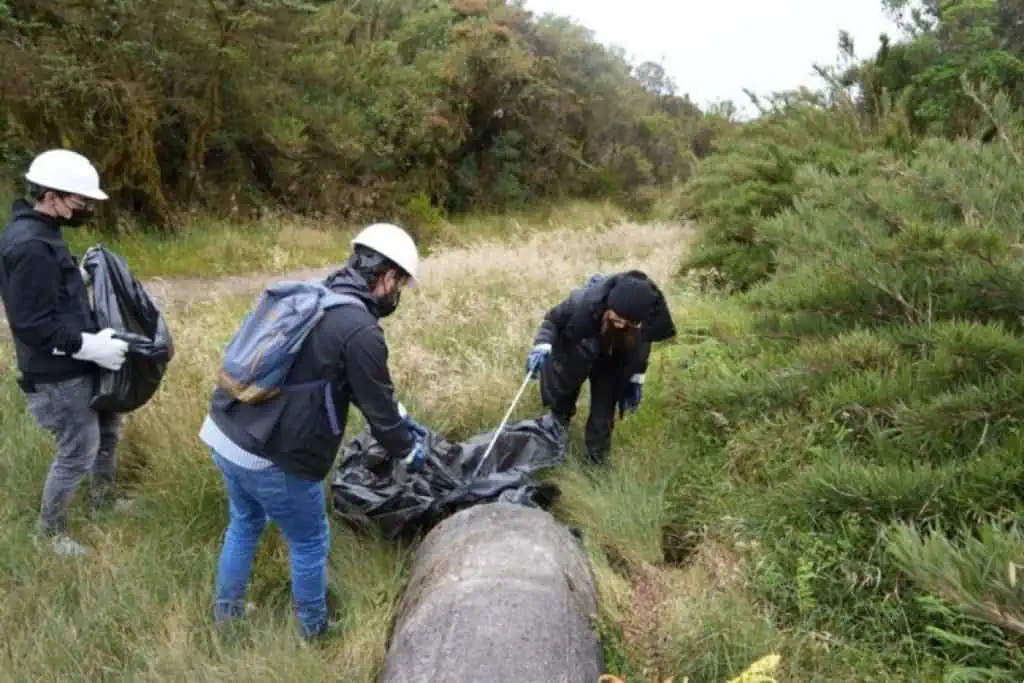 Grupo Aval lanzó iniciativa medioambiental en el marco del Festival Cordillera en Bogotá Grupo Aval lanzó iniciativa medioambiental en el marco del Festival Cordillera en Bogotá