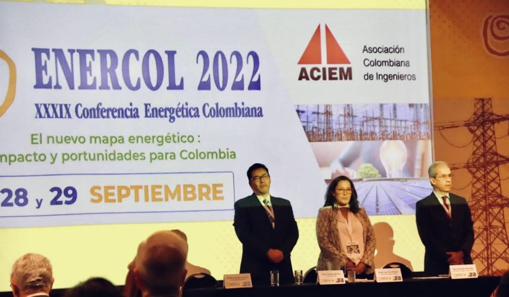 “Un problema mayúsculo”: viceministra de Energía frente a anterior hoja de ruta de transición energética