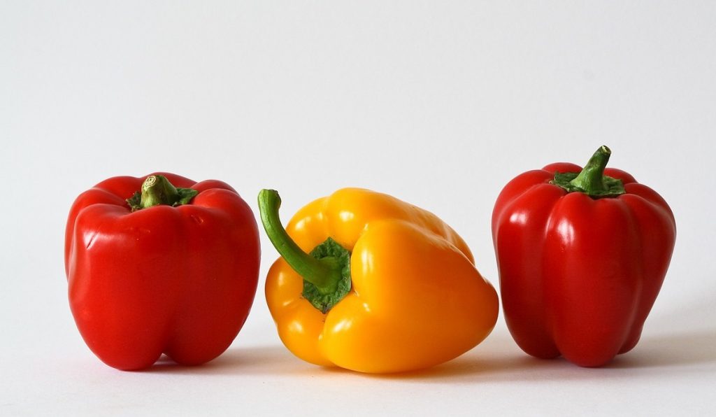 Colombia envía primer container de pimentones a EE. UU. y completa 108 productos agrícolas