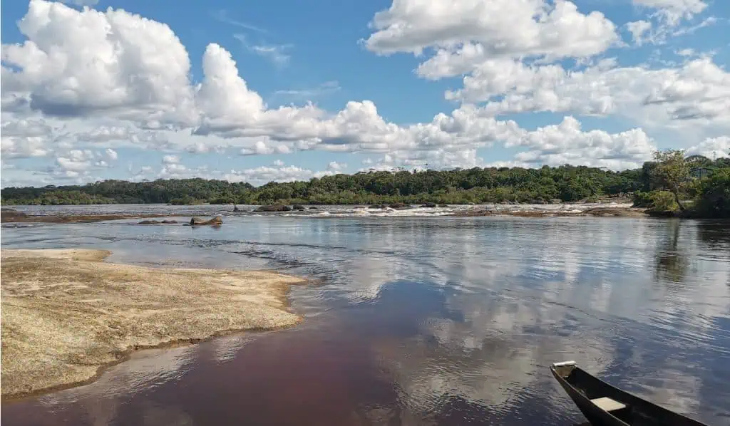 Entrevista | Así es como Banco de Bogotá y Saving The Amazon trabajan por la reforestación en Colombia Prohibición de minería e hidrocarburos en el Bioma Amazónico: nuevo pulso entre Gobierno Petro e industria energética