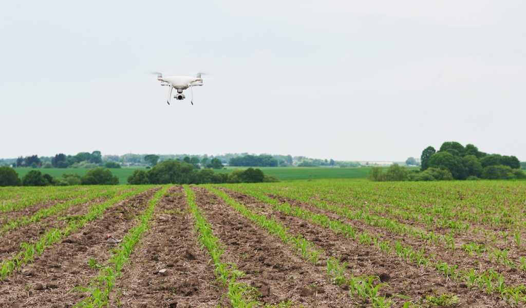 Agricultores pueden reducir hasta 30 % sus costos con tecnología en Colombia