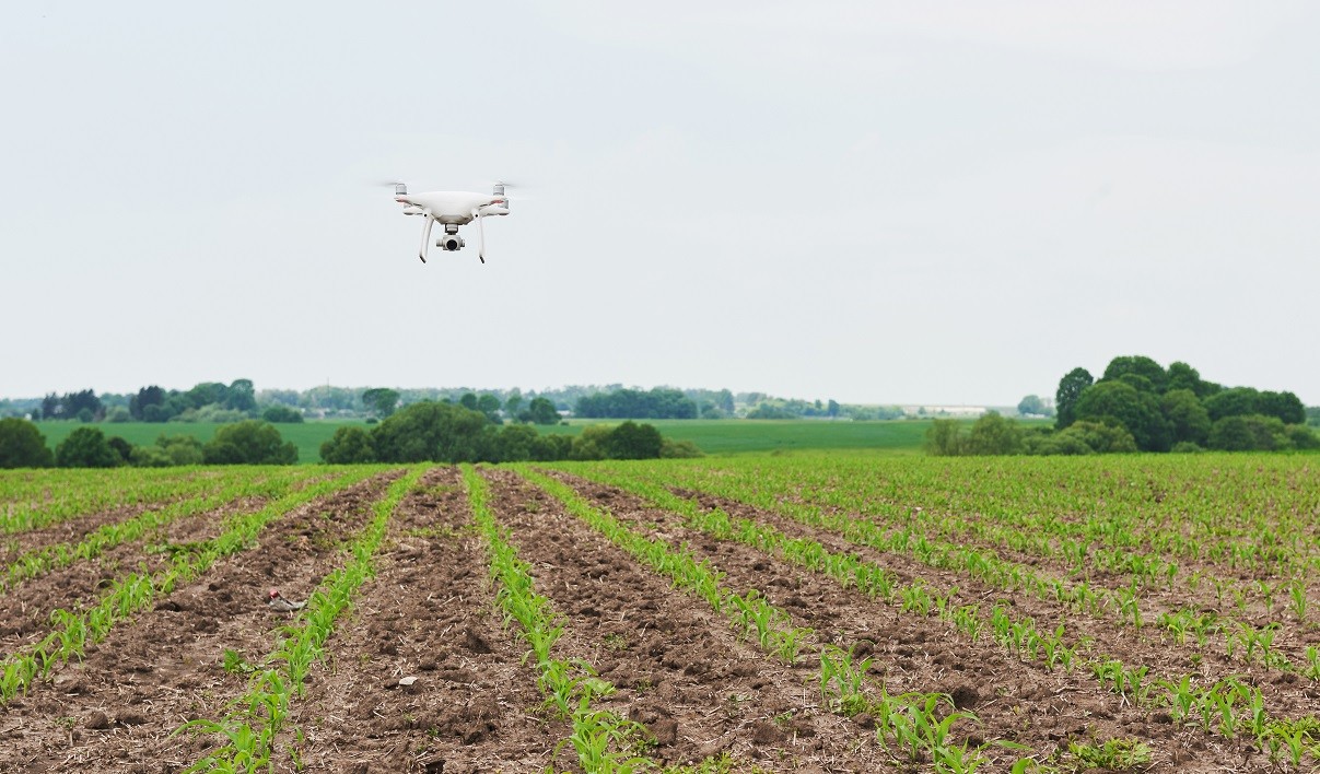 Agricultores pueden reducir hasta 30 sus costos con tecnología