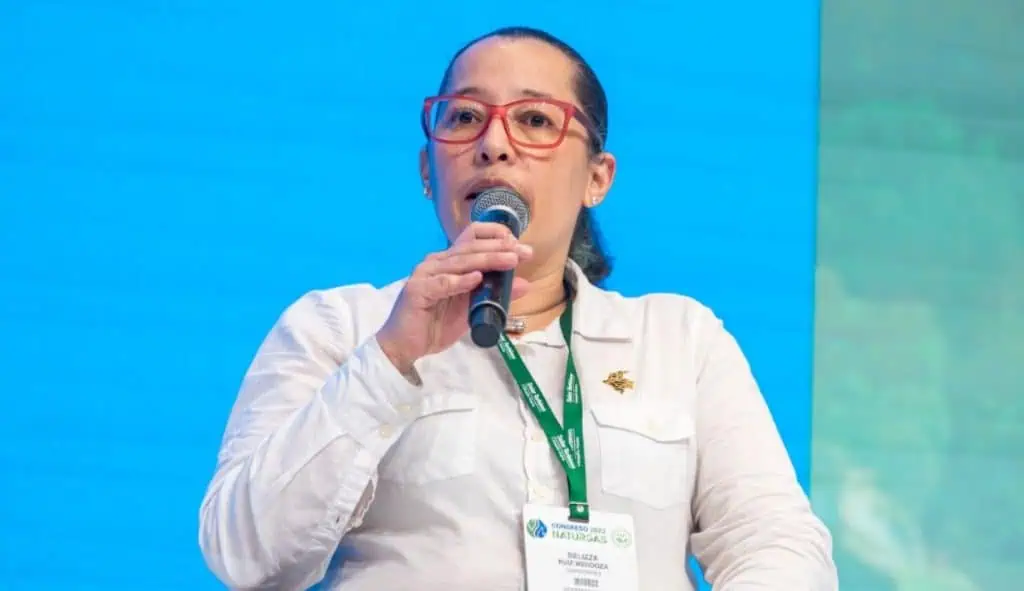 Ministra Irene Vélez se destapa y habla de la exviceministra Belizza Ruiz Belizza Ruiz, exviceministra de Energía de Colombia.