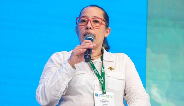Belizza Ruiz, exviceministra de Energía de Colombia.