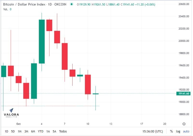 Más de 12.000 empresas en Brasil utilizaron criptomonedas en agosto