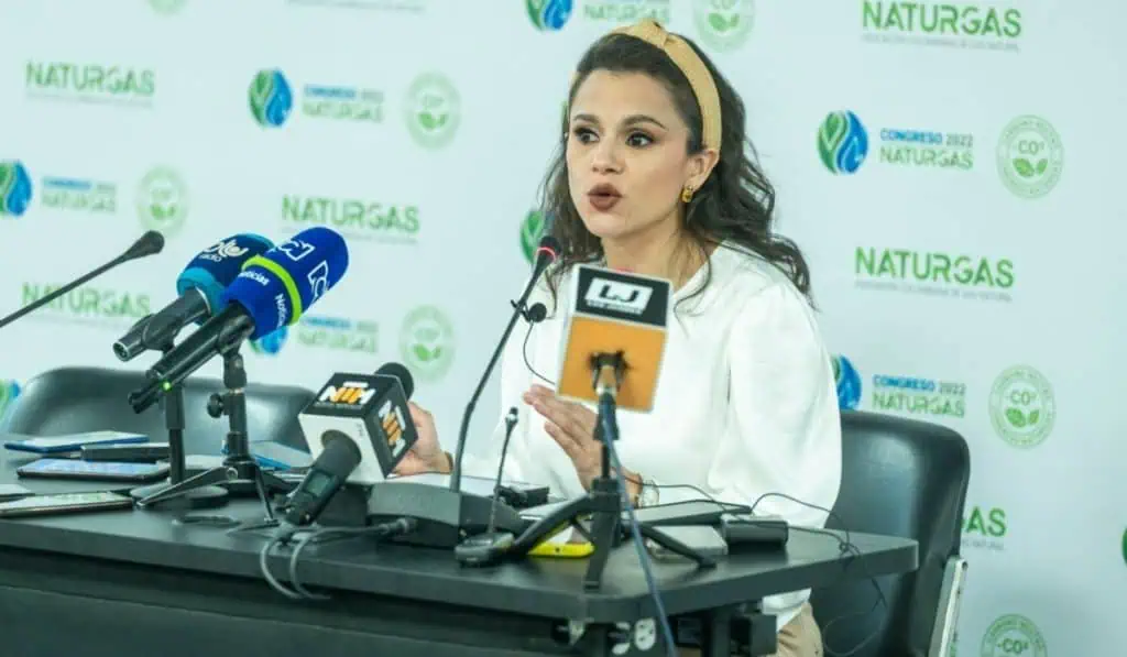 Para ser exportador de gas natural, Colombia debe impulsar la autosuficiencia: Naturgas Para ser exportador de gas natural, Colombia debe impulsar la autosuficiencia: Naturgas