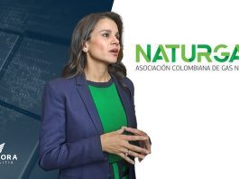 Luz Stella Murgas, presidenta de Naturgas Imagen: Valora Analitk