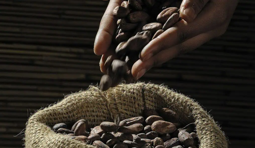 Colombia: Piden excluir al chocolate real de reforma tributaria Colombia: Piden excluir al chocolate real de reforma tributaria