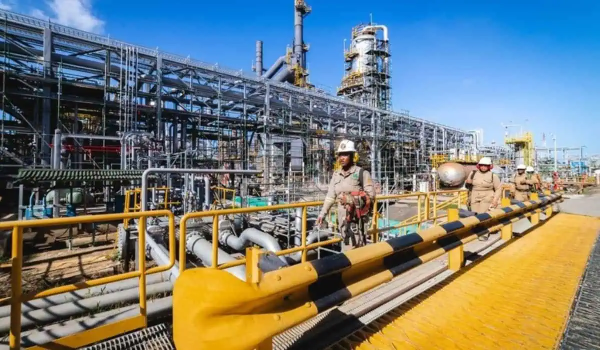 Combustible SAF: así se potencializaría la industria aérea colombiana con su desarrollo Utilidades de Ecopetrol