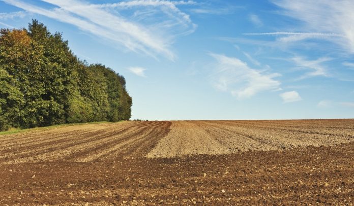 Plan Nacional de Desarrollo anuncia pasos para venta de tierras.