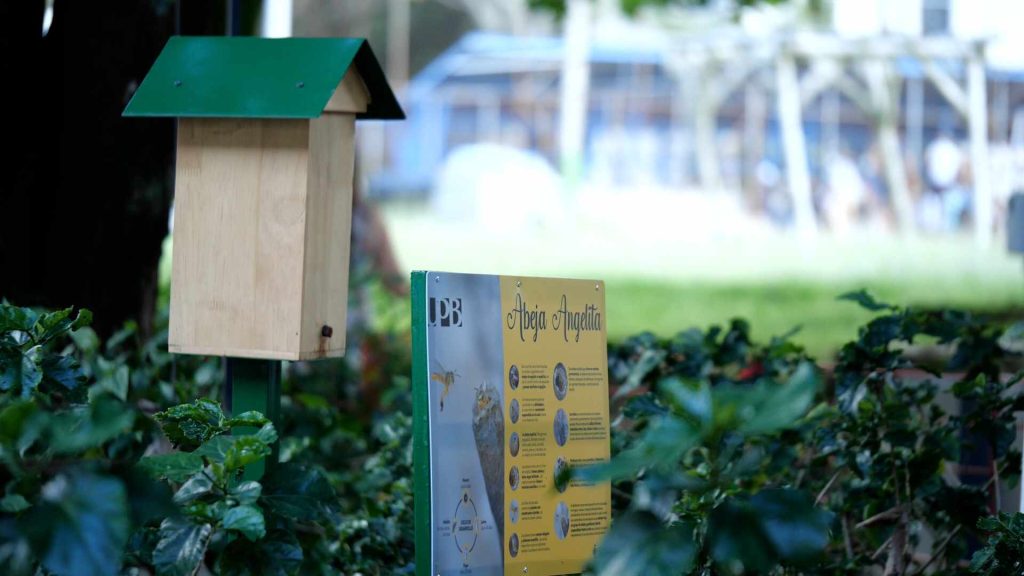 Conozca el nuevo hotel para abejas en Colombia