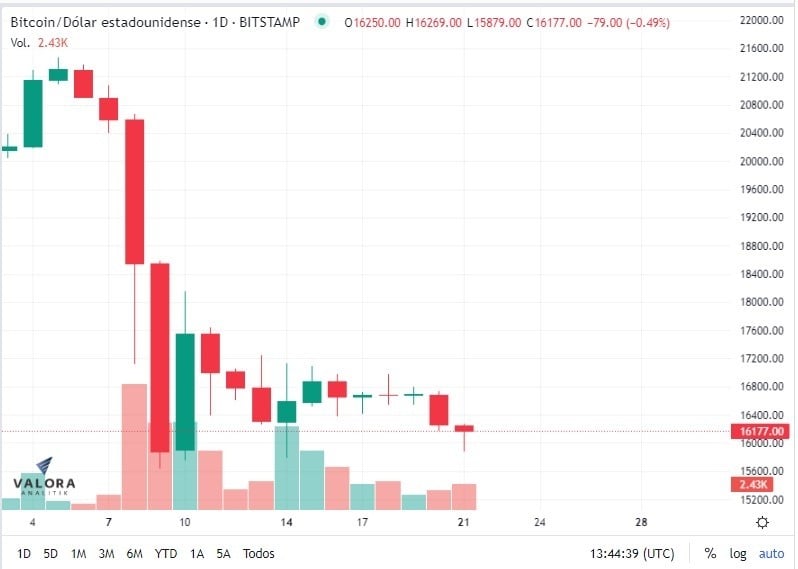 Conozca las cinco monedas digitales que han sobrevivido a la caída del mercado cripto