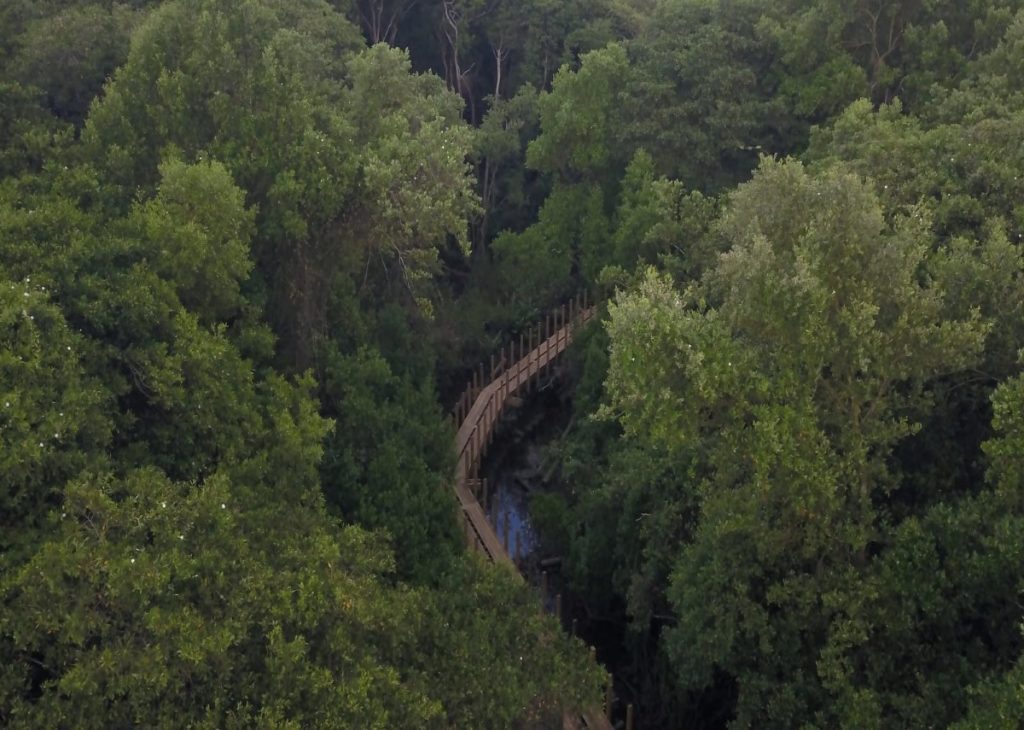 Ecoparque de la Ciénaga de Mallorquín proyecta más de 600 mil visitantes al año
