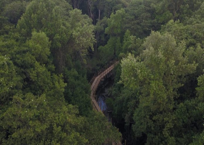 Ecoparque