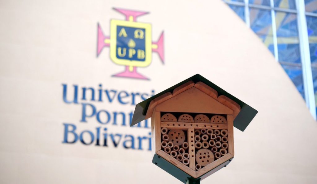 Conozca el nuevo hotel para abejas en Colombia