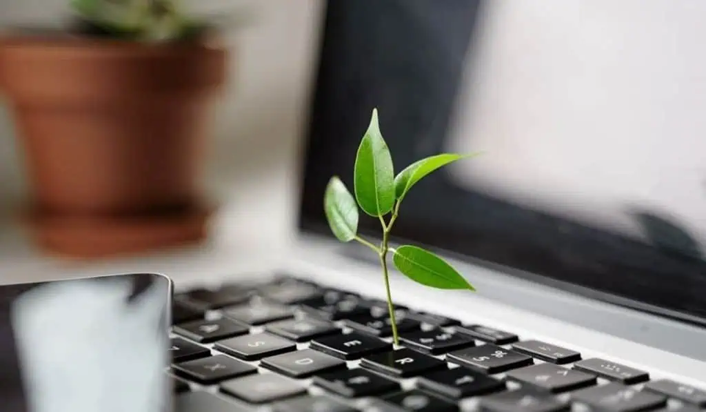 Publicidad digital emite 82 millones de toneladas de Co2 al año en el mundo Publicidad nativa le funcionó a empresas