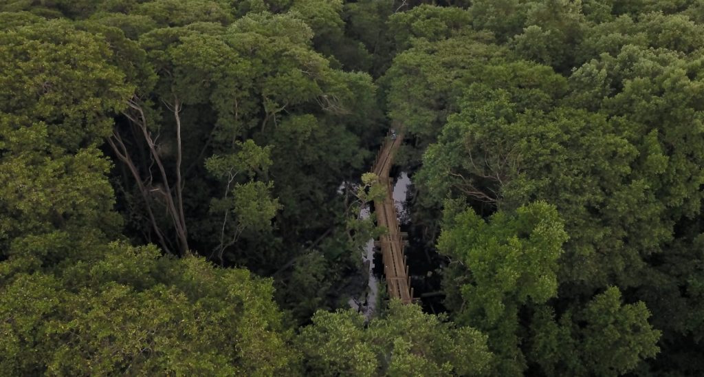 Ecoparque de la Ciénaga de Mallorquín proyecta más de 600 mil visitantes al año