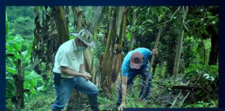 Trabajadores del agro colombiano